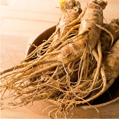 Korean Ginseng