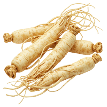 Korean Ginseng